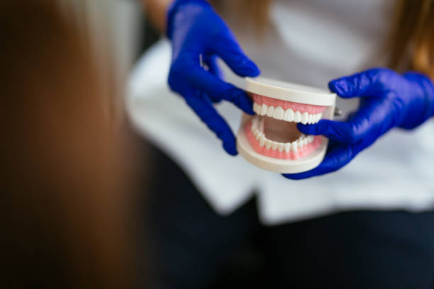  Bruce, MS Holistic Dental Services Pros